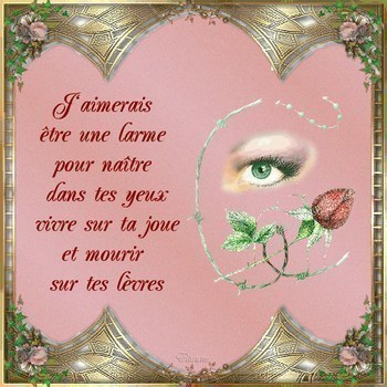 t'aime koi yassine dit moi ?